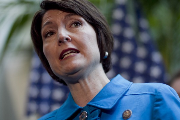 Cathy McMorris Rodgers Amnesty